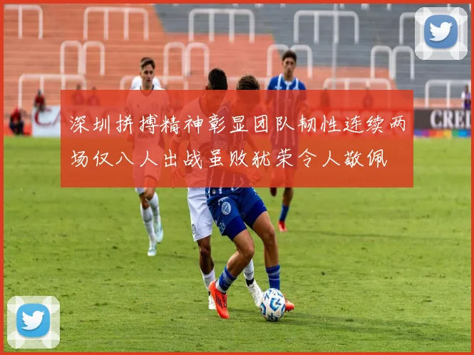 深圳拼搏精神彰显团队韧性连续两场仅八人出战虽败犹荣令人敬佩