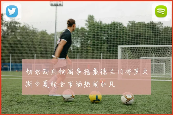 切尔西利物浦争抢桑德兰门将罗夫斯今夏转会市场热闹非凡
