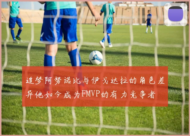 追梦阿努诺比与伊戈达拉的角色差异他如今成为FMVP的有力竞争者